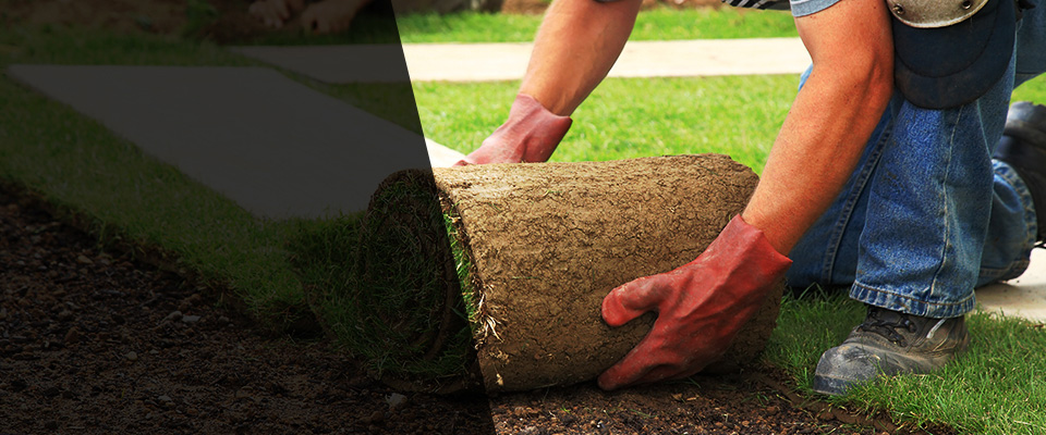 Valley Park Landscapers